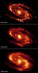 The magnificent and dusty spiral arms of the nearby galaxy Messier 81 are highlighted in these NASA Spitzer Space Telescope images. 