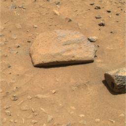 In the foreground of this image from NASA's Mars Exploration Rover Spirit are two rocks dubbed 'Sashimi' and 'Sushi.'