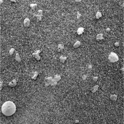 NASA's Mars Exploration Rover Opportunity shows a magnified view of coarse grains sprinkled over a fine layer of sand in Meridiani Planum on Mars.