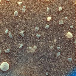 NASA's Mars Exploration Rover Opportunity shows coarse grains sprinkled over a fine layer of sand at its landing site, Meridiani Planum on Mars.