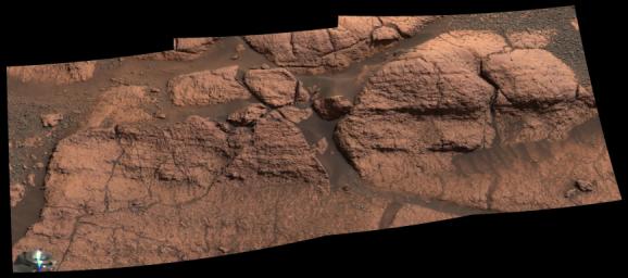 This mosaic of images taken by the panoramic camera onboard NASA's Mars Exploration Rover Opportunity shows the rock region dubbed 'El Capitan,' which lies within the larger outcrop near the rover's landing site.
