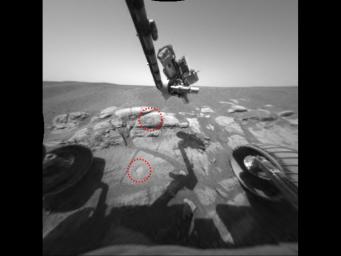 NASA's Mars Exploration Rover Opportunity shows the two holes that allowed scientists to peer into Meridiani Planum's wet past. The rover drilled the holes into rocks in the region dubbed 'El Capitan' with its rock abrasion tool. 