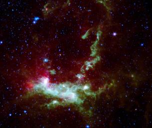 This image from NASA's Spitzer Space Telescope, shows the wispy filamentary structure of Henize 206, is a four-color composite mosaic created by combining data from an infrared array camera (IRAC).