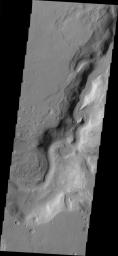 This image, part of an images as art series from NASA's 2001 Mars Odyssey released on March 25, 2004 shows part of the Auqakuh Vallis region on Mars. The image shows the presence of liquid or ice carved channels and some dunes.