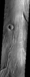 This image, part of an images as art series from NASA's 2001 Mars Odyssey released on March 4, 2004 shows a martian landscape with markings bearing a striking resemblance to tree bark.