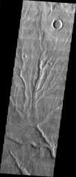This image from NASA's 2001 Mars Odyssey released on March 26, 2004 shows an area in the Warrego Valles region on Mars. The image shows multiple channels dissecting the terrain.
