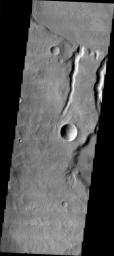 This image from NASA's 2001 Mars Odyssey released on March 31, 2004 shows part of the Tinia Vallis region on Mars. The image shows a small channel with a delta.