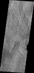 This image from NASA's 2001 Mars Odyssey released on April 1, 2004 shows a channel near the martian feature called Alba Patera on Mars. The image shows multiple possibly liquid formed channels.