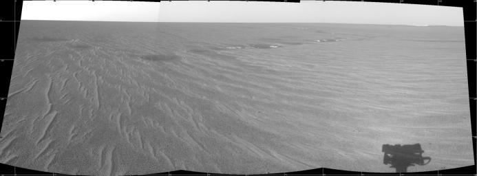 This image from NASA's Mars Exploration Rover Opportunity shows the rover's forward view at Meridiani Planum as well as 'Endurance Crater.' The shadow of the rover's panoramic camera mast assembly can be seen on the bottom right.