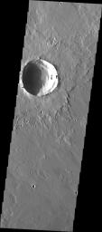 This image from NASA's 2001 Mars Odyssey released on April 27, 2004 shows lava flows on the martian surface at Elysium Mons.