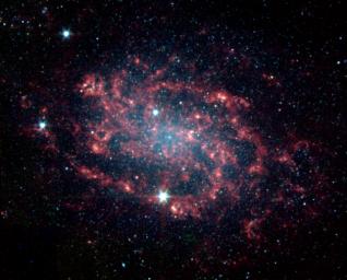 Sometimes, the best way to understand how something works is to take it apart. The same is true for galaxies like NGC 300, which NASA's Spitzer Space Telescope has divided into its various parts. 