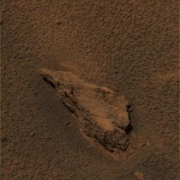This approximate true-color image of the rock called 'Lion Stone' was acquired by NASA's Mars Exploration Rover Opportunity's panoramic camera on May 9, 2004.