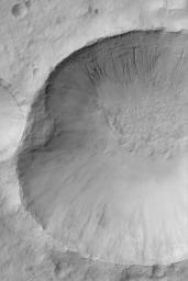 NASA's Mars Global Surveyor shows a martian gullied crater wall at southern mid-latitude. Formation of such gullies might have involved flowing liquid water.