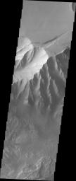 This image from NASA's 2001 Mars Odyssey released on Sept 17, 2004 shows the martian surface of Candor Chasma. Dunes and wind-shaped surfaces are very common in this area.