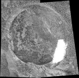 This mosaic of four images from the microscopic imager on NASA's Mars Exploration Rover Opportunity shows the freshly exposed interior of a rock dubbed 'Lion Stone' after the rover's rock abrasion tool ground away a circular patch of the rock's surface.