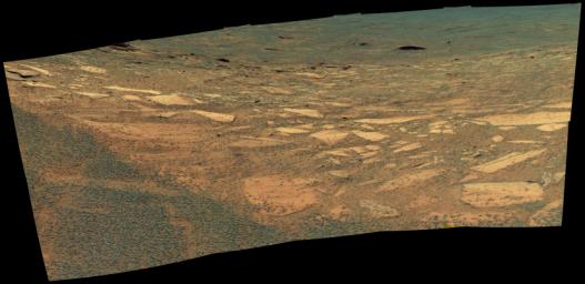 This false-color image from NASA's Mars Exploration Rover Opportunity panoramic camera shows a downward view from the rover as it sits at the edge of 'Endurance' crater. The gradual, 'blueberry'-strewn slope contains an exposed dark layer of rock.