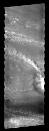 A bright line of clouds streaming off the north rim of the crater on Mars as seen by NASA's 2001 Mars Odyssey spacecraft.