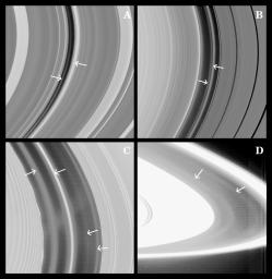 Images from NASA's Cassini spacecraft have revealed the presence of previously unseen faint rings in some of the gaps in Saturn's rings--possible indicators of small yet-unseen moons.