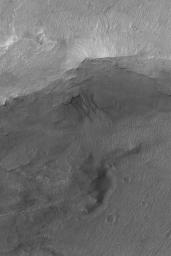 NASA's Mars Global Surveyor shows gullies emergent from beneath erosion-resistant rock layers in a trough south of Atlantis Chaos on Mars.