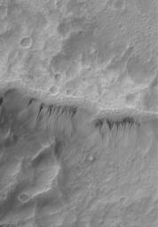 NASA's Mars Global Surveyor shows a gullied crater wall on Mars. The gullies have formed in a thick, smooth-surfaced mantle that covers the crater wall.