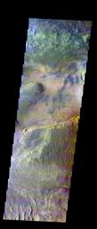This false-color image released on June 1, 2004 from NASA's 2001 Mars Odyssey was collected January 29, 2004 during southern summer season. The image shows an area in the Ceti Mensa region on Mars.