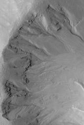 NASA's Mars Global Surveyor shows gullies with banked and somewhat sinuous channels and inner channels cut into the wall of a south middle-latitude crater on Mars.