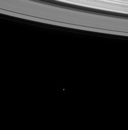 On its first orbit of the ringed planet, NASA's Cassini spacecraft gazed into the distance to capture this image of the icy moon Mimas (398 kilometers or 247 miles wide).