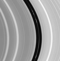 An intriguing knotted ringlet within the Encke Gap is the main attraction in this image captured by NASA's Cassini spacecraft.