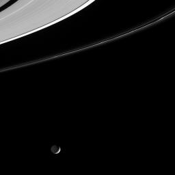 Reflected light from Saturn dimly illuminates the night side of the cratered moon Mimas in this image from NASA's Cassini spacecraft.