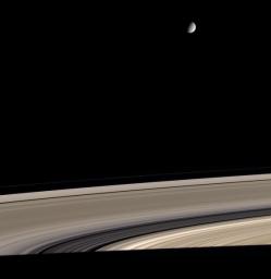Saturn's icy moon Enceladus hovers above Saturn's exquisite rings in this color view from NASA's Cassini spacecraft.