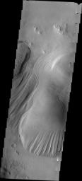 This image released on July 16, 2004 from NASA's 2001 Mars Odyssey shows that eons of atmospheric dust storm activity has left its mark on Mars. Here are different amounts of yardang development on a large deposit found on the floor of Nichols.