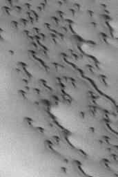 NASA's Mars Global Surveyor shows dark, barchan sand dunes of the north polar region of Mars. Barchan dunes are simple, rounded forms with two horns that extend downwind.