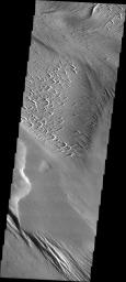 This image released on July 17, 2004 from NASA's 2001 Mars Odyssey shows that eons of atmospheric dust storm activity has left its mark on the surface of Mars. Yardangs form in channel floor deposits.