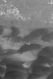 NASA's Mars Global Surveyor shows landforms in southeastern Ius Chasma, part of the Valles Marineris trough system on Mars. Evident are are light-toned rock outcrops and a small butte, the remnant of some formerly more extensive rock unit.