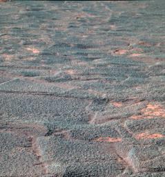 NASA's Mars Exploration Rover Opportunity used its panoramic camera to capture this false-color image of the interior of 'Endurance Crater' on the rover's 188th martian day (Aug. 4, 2004).