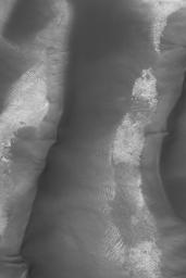 NASA's Mars Global Surveyor shows large, low albedo (dark) sand dunes in Kaiser Crater on Mars. Avalanching sand in the Kaiser dune field has left deep scars on these slopes.