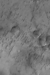 NASA's Mars Global Surveyor shows groupings of large ripple-like windblown bedforms on the floor of a large crater in Sinus Sabaeus, south of Schiaparelli Basin on Mars.