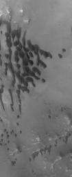 NASA's Mars Global Surveyor shows dark, windblown dunes on the floor of Bamburg Crater, located in the Cydonia region of Mars.