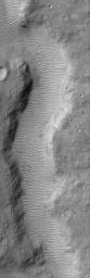 NASA's Mars Global Surveyor shows a small segment of a martian valley on Mars. The valley floor is covered by a plethora of large, windblown ripples.