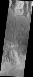 This image released on Oct 4, 2004 from NASA's 2001 Mars Odyssey shows an area on Mars in Candor Chasma. The Chasma walls, chaotic canyon floor and slopes of the ridge formation are visible. Wind etched surfaces and gullies are present there.