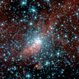 This false-color image taken by NASA's Spitzer Space Telescope shows a globular cluster previously hidden in the dusty plane of our Milky Way galaxy. Globular clusters are compact bundles of old stars that date back to the birth of our galaxy.