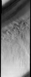 This image released on Oct 28, 2004 from NASA's 2001 Mars Odyssey shows the Martian north polar cap. Streamers of dust moving downslope over the darker trough sides showing the laminar flow regime coming off the cap. 