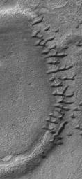 NASA's Mars Global Surveyor shows a group of small, dark sand dunes trapped along an arcuate ridge. The ridge probably marks the location of a partially-buried, eroded, and filled meteor crater.