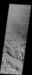 This image released on Nov 8, 2004 from NASA's 2001 Mars Odyssey shows collapse pits in the floor of Bernard Crater on Mars. These collapse pits were likely formed by the release of volatiles from the materials deposited in the crater floor.