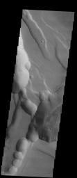 This image released on Nov 11, 2004 from NASA's 2001 Mars Odyssey shows the Noctis Labyrinthus region of Mars. These collapse pits are forming along structural fractures that are allowing the release of volatiles from the subsurface.