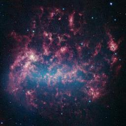 This vibrant image from NASA's Spitzer Space Telescope shows the Large Magellanic Cloud, a satellite galaxy to our own Milky Way galaxy.