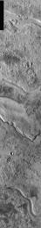 This image released on Nov 26, 2004 from NASA's 2001 Mars Odyssey shows a group of channels on Mars that originate from the Elysium volcanic field. Called Granicus Vallis, these channels are related to the volcanic activity of Elysium Mons.