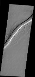 This image released on Dec 1, 2004 from NASA's 2001 Mars Odyssey shows Olympica Fossae. Located between Olympus Mons and Alba Patera on Mars, this entire region is comprised of volcanic flows. All the channels were created by volcanic activity.