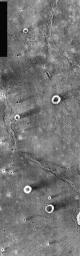 This image from NASA's Mars Odyssey shows a crater on Mars located in Syrtis Major. The majority of craters appear as bright (warm) rings surrounding dark (cooler) centers. The crater rims providr a wind-shadow.