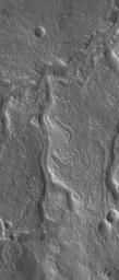 NASA's Mars Global Surveyor shows part of a network of ancient valleys in northern Arabia Terra near Moreux Crater on Mars. The valleys may have originally been carved by a liquid such as water.
